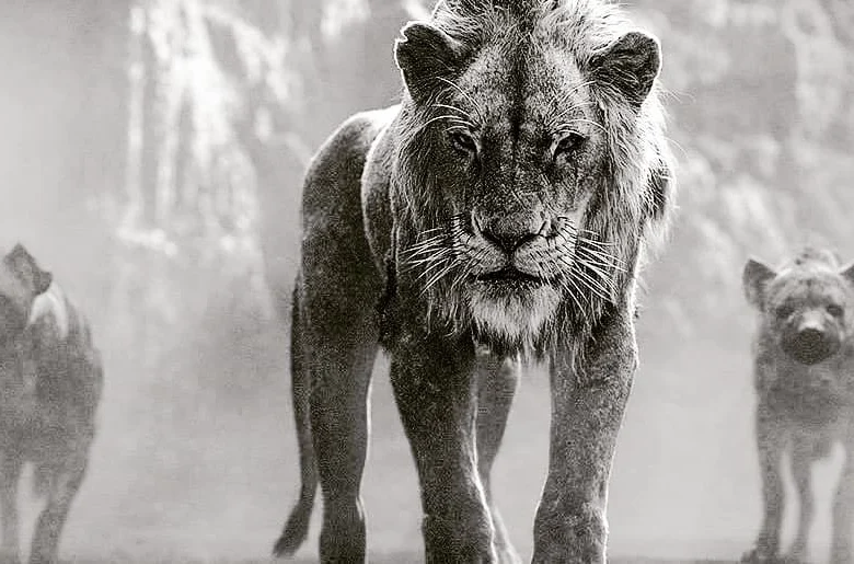 همیشه به جای نسخه درجه دو یکی دیگه ، نسخه درجه یک خودتون باشید